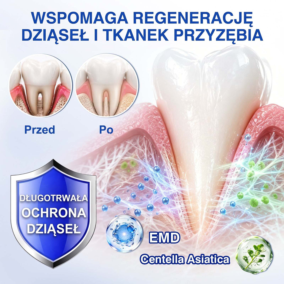 Evolvion® 👩‍⚕️ GumRevive – Zaawansowany żel do zdrowych i mocniejszych dziąseł 🎊