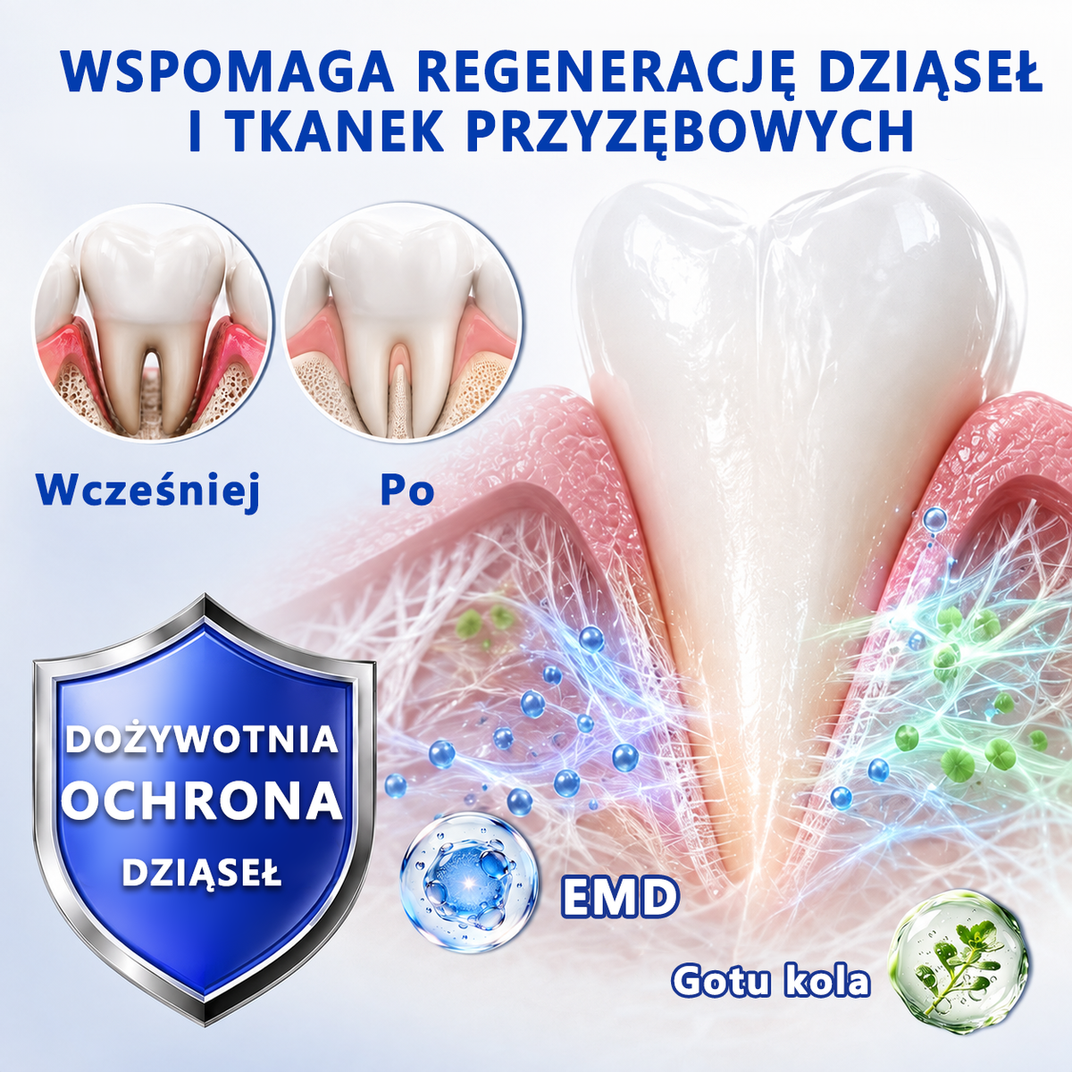 𝐄𝐯𝐨𝐥𝐯𝐢𝐨𝐧® 𝐆𝐮𝐦𝐑𝐞𝐯𝐢𝐯𝐞 Ż𝐞𝐥 𝐝𝐨 𝐫𝐞𝐠𝐞𝐧𝐞𝐫𝐚𝐜𝐣𝐢 𝐩𝐫𝐳𝐲𝐳ę𝐛𝐢𝐚⚡