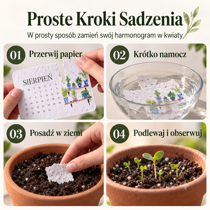 Kalendarz z nasionami do posadzenia na rok 2027 wraz z podstawką🎃