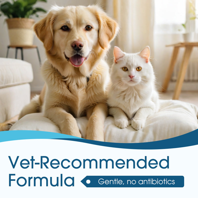 🐶🐱 | 💎Vitalisys® Advanced Pet Ear Cleaner & Itch Relief Drops — Gentle Ear Wax Removal, Odor Eliminator, Yeast & Mite Infection Soothing, Anti-Inflammatory & Daily Ear Care for Dogs & Cats 👂